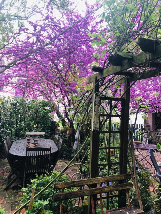 Maison D'Hotes "Les Volets Verts" Et Sa Brocante Ecueille Exteriör bild