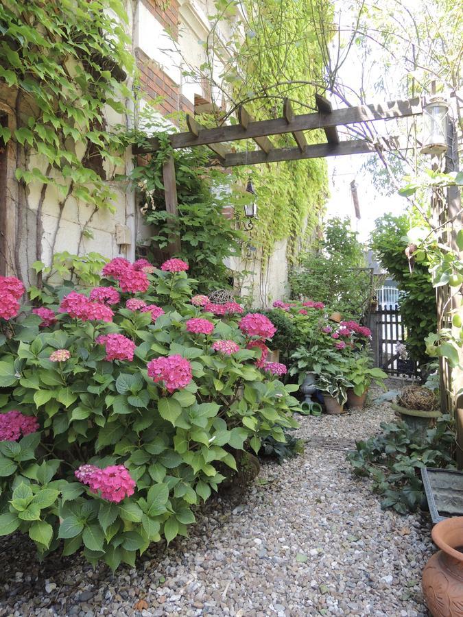 Maison D'Hotes "Les Volets Verts" Et Sa Brocante Ecueille Exteriör bild